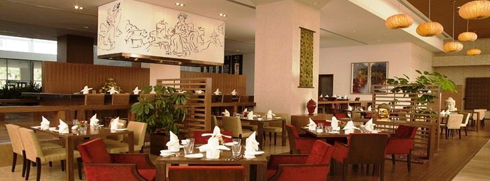595/Radisson Blu Plaza Hotel Hyderabad Banjara Hills - Hyderabad 06.jpg